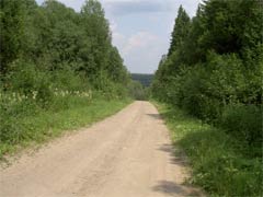 Дорога к Павло-Обнорскому монастырю